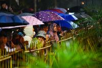 Người dân đội mưa, thức trắng đêm đợi xin ấn đền Trần