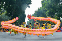 Mãn nhãn múa Rồng tại Festival Thanh niên quốc tế