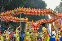 Mãn nhãn múa Rồng tại Festival Thanh niên quốc tế