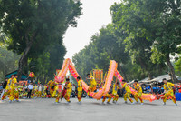 Mãn nhãn múa Rồng tại Festival Thanh niên quốc tế