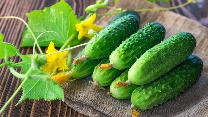 Đối với những người mắc các bệnh mãn tính nhất định, thói quen ăn sống dưa chuột cần được xem xét kỹ hơn. (Ảnh: ITN).