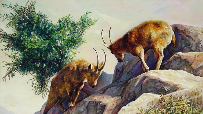 Tử vi tuổi Mùi 2026: Vướng Tam Tai nhưng vẫn bình an, may mắn