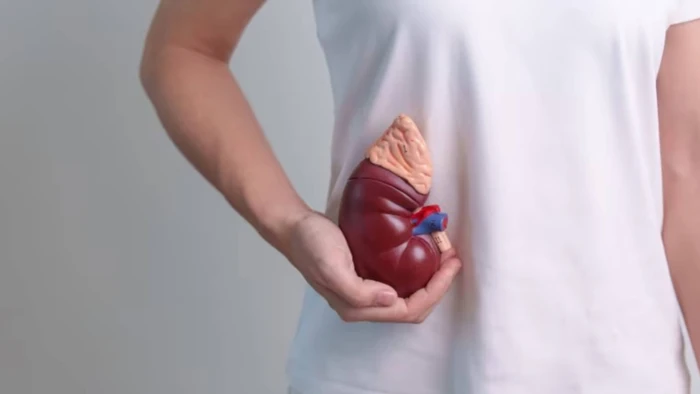 Bệnh thận thường phát triển âm thầm theo thời gian. (Ảnh: ITN).