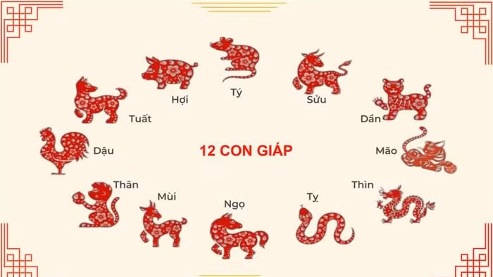 Tử vi 12 con giáp ngày 1/7: Mùi vận khí vững vàng, Hợi đào hoa nở rộ