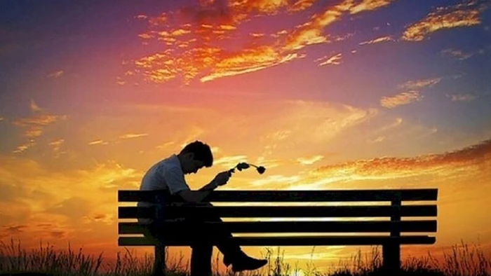 Mão tình cảm có phần ảm đạm, Tỵ độc thân vượng vận đào hoa ngày 11/11