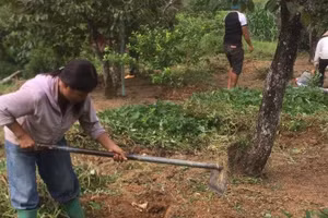 Thay đổi tư duy phát triển kinh tế nhờ các lớp học nghề cho người dân nghèo