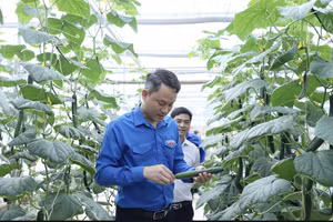 Phát huy đội ngũ trí thức trẻ, kỹ sư trẻ hỗ trợ sản xuất