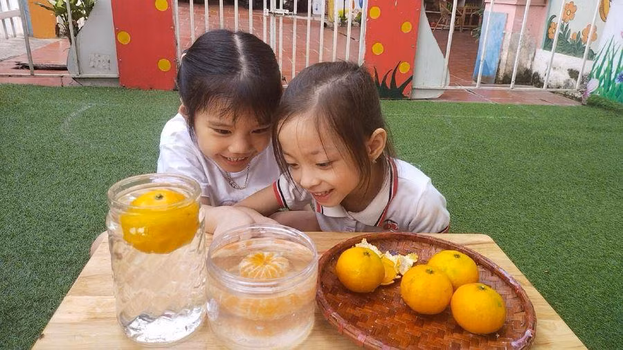 MN lê Đồng.jpg