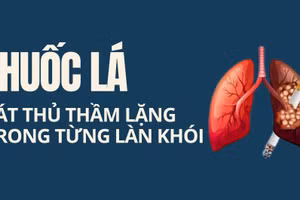 Infographic: Thuốc lá - Sát thủ thầm lặng tàn phá sức khỏe