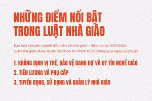 Infographic: Những điểm nổi bật trong Luật Nhà giáo