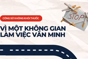 Infographic: Công sở không khói thuốc 