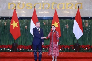 Tổng Bí thư Tô Lâm gặp Chủ tịch Hạ viện Indonesia Puan Maharani