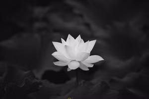 Điện chia buồn nguyên Chủ tịch Đảng, nguyên Chủ tịch nước Lào Khamtai Siphandone từ trần