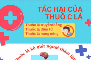 Infographic: Ảnh hưởng của thuốc lá tới sức khỏe con người
