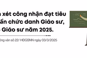 Infographic: Lịch xét công nhận đạt tiêu chuẩn chức danh GS, PGS năm 2025