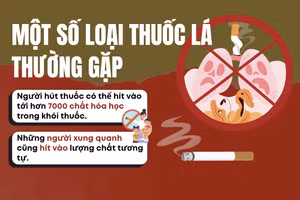 Infographic: Một số loại thuốc lá thường gặp ở Việt Nam