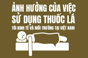Infographic: Ảnh hưởng của việc sử dụng thuốc lá tới kinh tế và môi trường Việt Nam