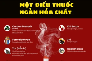 Infographic: Những độc tính có trong khói thuốc lá 