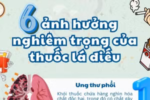 Infographic: Những ảnh hưởng nghiêm trọng của thuốc lá truyền thống 