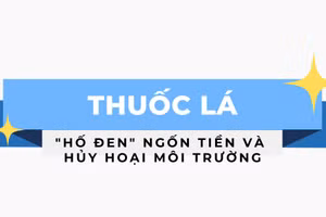 Thuốc lá - "Hố đen" ngốn tiền và hủy hoại môi trường