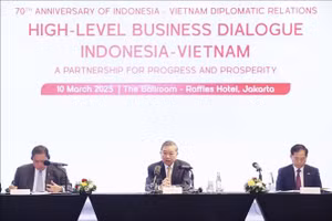 Tổng Bí thư Tô Lâm dự Tọa đàm doanh nghiệp Việt Nam và Indonesia