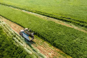 Vinamilk tiếp tục là đại diện duy nhất của ngành sữa Việt Nam trong Fortune 500 Đông Nam Á
