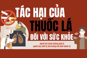 Infographic: Tác hại của thuốc lá đối với sức khỏe