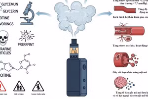 Infographic: Những thành phần và tác hại của thuốc lá điện tử