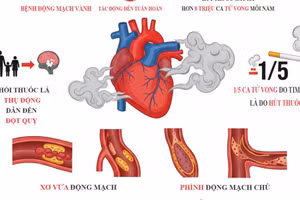Infographic: Ảnh hưởng của thuốc lá tới sức khỏe tim mạch 