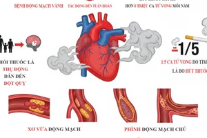 Infographic: Ảnh hưởng của thuốc lá tới sức khỏe tim mạch 