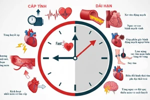 Infographic: Biến chứng tim mạch của việc hút thuốc lá 