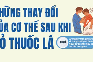 Infographic: Những thay đổi của cơ thể sau khi bỏ thuốc lá