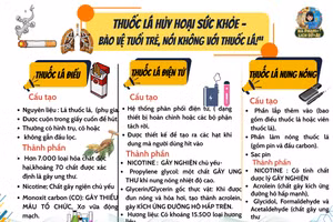 Infographic: Cấu tạo và thành phần của những loại thuốc lá phổ biến ở Việt Nam