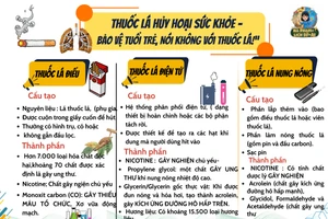 Infographic: Cấu tạo và thành phần của những loại thuốc lá phổ biến ở Việt Nam