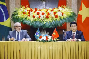 Chủ tịch nước Lương Cường hội đàm với Tổng thống Brazil