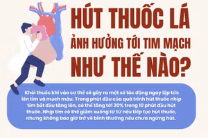 Infographic: Hút thuốc lá ảnh hưởng tới tim mạch như thế nào?