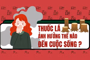 Infographic: Thuốc lá ảnh hưởng thế nào đến cuộc sống