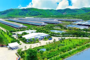 Thành tựu phát triển sản xuất đi đôi tiết kiệm, chuyển đổi năng lượng xanh của Vinamilk 