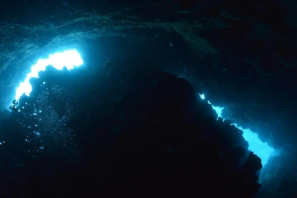 Phát hiện gây sốc trong hang biển khiến giới khoa học cảnh báo khẩn cấp