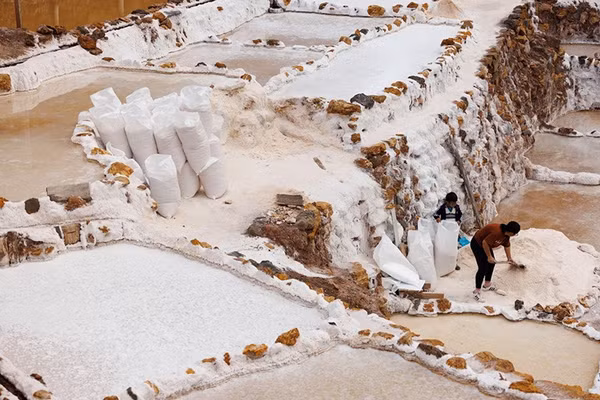 Cận cảnh làng muối ẩn mình giữa núi Andes khiến du khách tò mò
