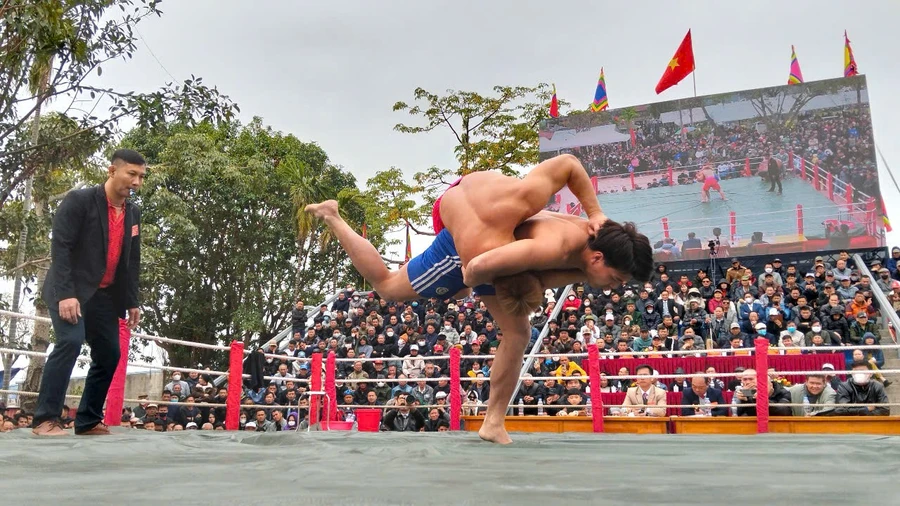 Các đô vật đến từ các tỉnh thành phố: Hà Nội, Bắc Ninh, Ninh Bình, Thanh Hoá và đội chủ nhà Hải Phòng thi đấu tại giải vật mùa xuân đình làng Vĩnh Khê, phường An Đồng, quận An Dương (Hải Phòng) ngày 4/2.