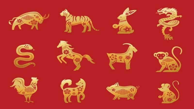 Tử vi 12 con giáp ngày 3/8: Thân, Tý có lộc, tiền bạc rủng rỉnh | Báo Giáo  dục và Thời đại Online