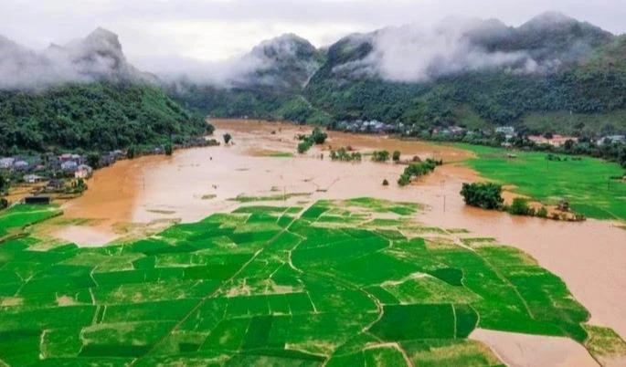 Ruộng lúa của người dân xã Tông Cọ, huyện Thuận Châu chìm trong biển nước.