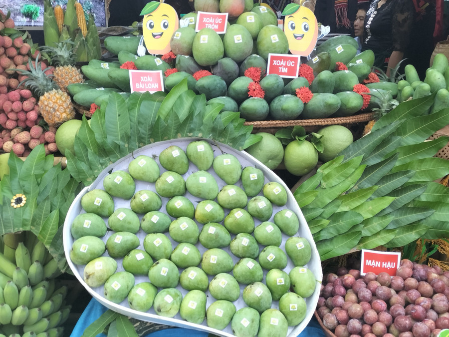 Xoài Yên Châu được trưng bày tại các gian hàng. img20250530152255.jpg