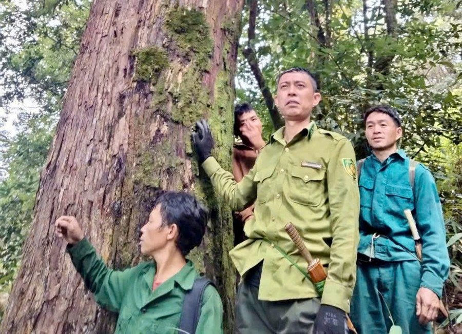 Lực lượng Kiểm lâm Khu bảo tồn thiên nhiên Mường La leo đồi tuần tra rừng.