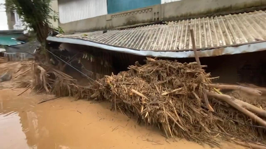 Lượng lớn cành cây, thân cây gãy đổ tràn về khu dân cư. fb-img-1753579488493.jpg