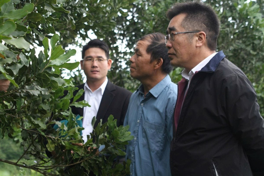 Cán bộ xã Kim Bon thăm mô hình trồng mắc ca, loại cây đang được kỳ vọng giúp người dân vươn lên thoát nghèo. 2-151731-237-170625.jpg