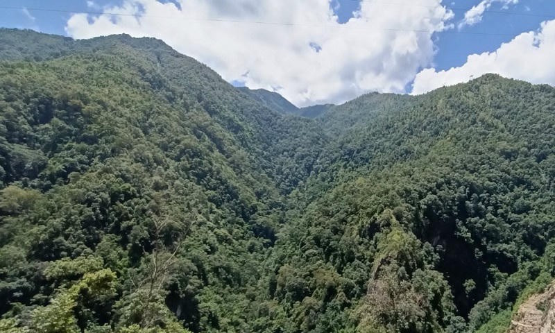 Rừng đặc dụng ở khu vực biên giới Sơn La luôn giữ màu xanh bạt ngàn.