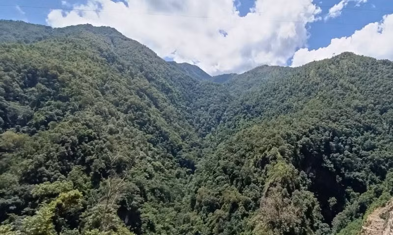 Rừng đặc dụng ở khu vực biên giới Sơn La luôn giữ màu xanh bạt ngàn.