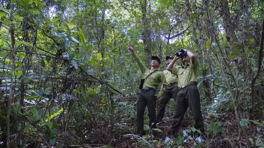 Công tác bảo vệ rừng và phát triển rừng luôn được lực lượng Kiểm lâm tỉnh Sơn La xác định là nhiệm vụ trọng tâm.